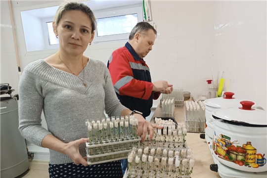 Ӳсен тăран сывă пултăр тесе тăрăшаççĕ// "Хыпар" 