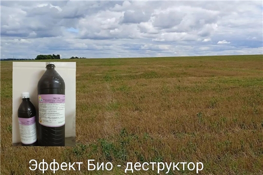 Эффект Био (споровый препарат) - деструктор пожнивных остатков