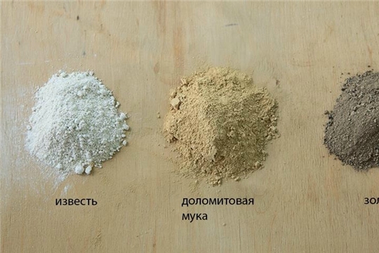 Что лучше выбрать для раскисления почвы: доломитовую муку или известь?