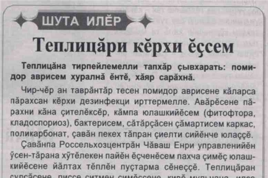 Готовим теплицу к новому сезону