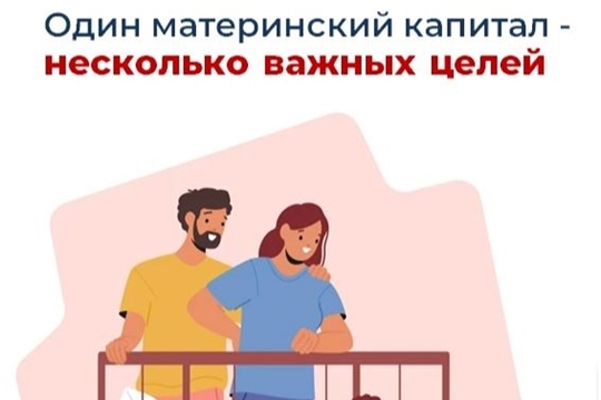Материнский капитал от Соцфонда – на множество целей