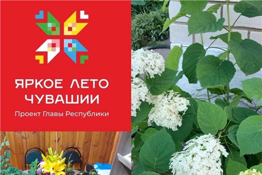 Карабай-Шемуршинская библиотека в рамках проекта Главы Чувашской Республики Олега Николаева «Яркое лето Чувашии» приглашает на цветочный фестиваль «Цветик-семицветик»