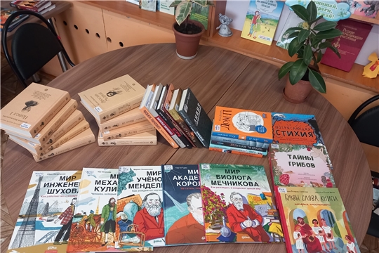 Фонд Большебуяновской сельской библиотеки пополнился новыми книгами