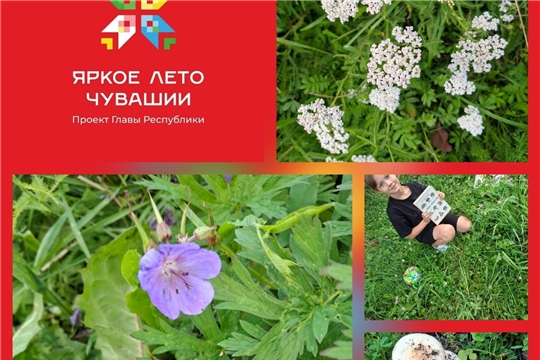 Мероприятие «Лесная аптека» в рамках проекта Главы Чувашской Республики Олега Николаева «Яркое лето Чувашии» (Бичурга-Баишевская с/б)