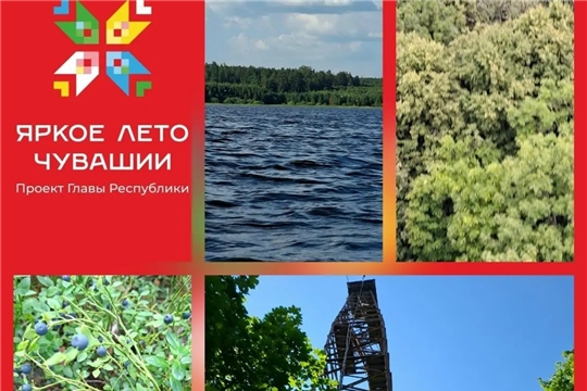 Обзор фотовыставки «Природа малой Родины моей» в рамках проекта Главы Чувашской Республики Олега Николаева «Яркое лето Чувашии» (Бичурга-Баишевская с/б)