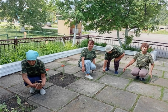 Сăваплă вырăна тирпейлерĕç