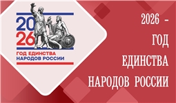 Году единства народов России