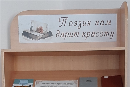 Книжная выставка «Поэзия нам  дарит красоту» в Нижнекумашкинской сельской библиотеке