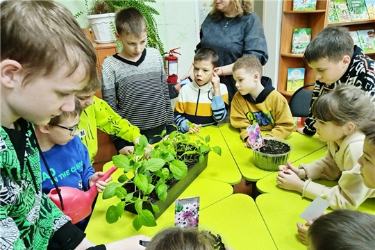 Экологический клуб: цветы Добра