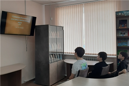 Библиотечный урок «Курс библиотек 21 века: от информации к знаниям» в Нижнекумашкинской сельской библиотеке