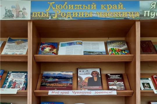 Книжно-иллюстративная выставка «Любимый край, ты Родины частица» в Краснооктябрьской сельской библиотеке