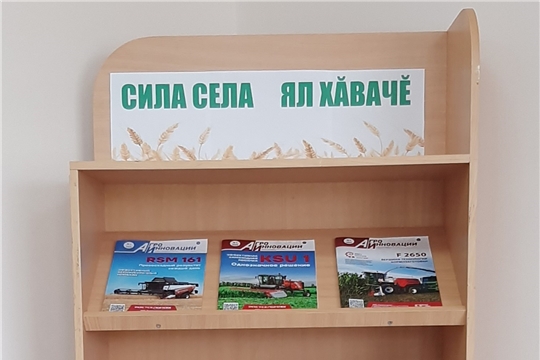Книжная выставка «Сила села Ял хăвачĕ» в Нижнекумашкинской сельской библиотеке