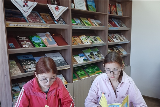 Акция по распространению информационных буклетов ко Дню семьи, любви и верности в Нижнекумашкинской сельской библиотеке