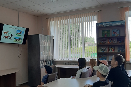 Экологический час «Магия лошадей» в Нижнекумашкинской сельской библиотеке
