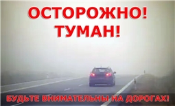 Рекомендации водителям в условиях тумана