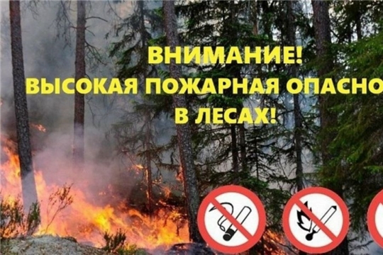 Жёлтый уровень опасности: высокая пожароопасность лесов!