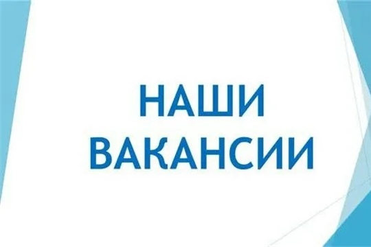 Станьте частью нашей школьной команды: открыты вакансии учителей