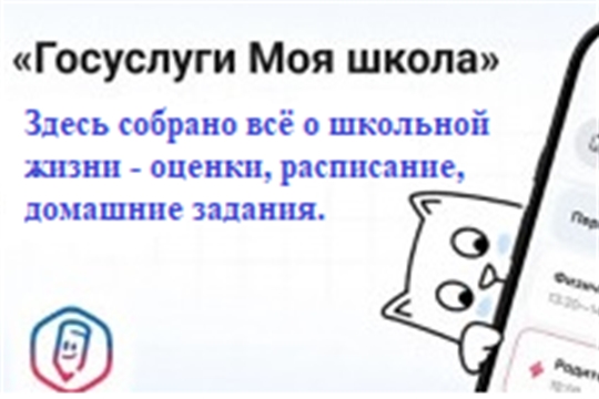 ТОР "Моя школа"