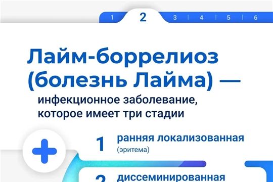 Берегите себя и своих близких, не забывайте - клещевой Лайм-боррелиоз серьезное заболевание