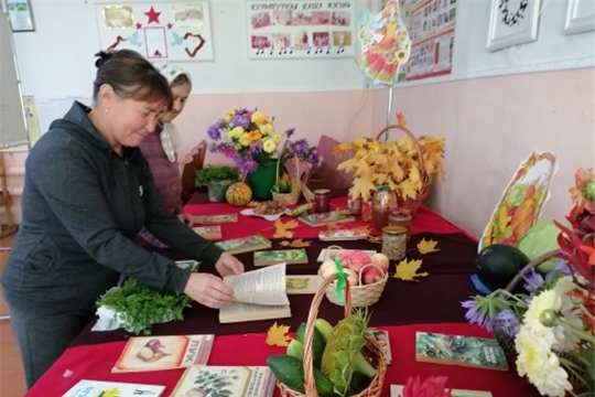 В День выборов организована книжная выставка «Ароматы осени: от грядки до банки»: Дубовская сельская библиотека