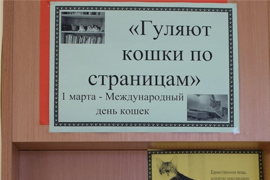 "Эти забавные кошки" – викторина в Новоахпердинской с\б