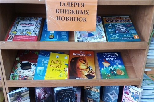 Выставка-обзор "Галерея книжных новинок" в Шаймурзинской сельской библиотеке