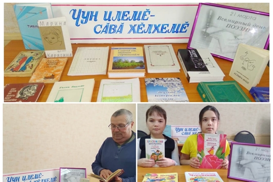 Литературно-поэтический час «И в песнях, и в стихах поэтов, пусть расцветает край родной» в Новокотяковской с/б