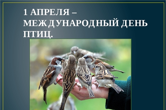 Экологический час «Птичьи секреты» в Старокотяковской сельской библиотеке
