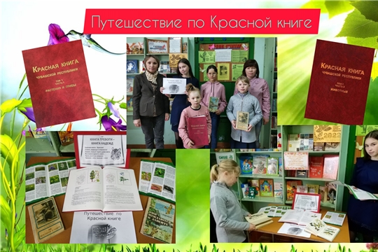 Экологический час «Путешествие по Красной книге» в Сиделинском б/п