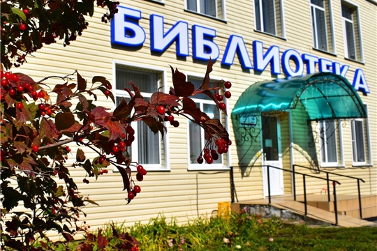 Сказки Василисы Премудрой