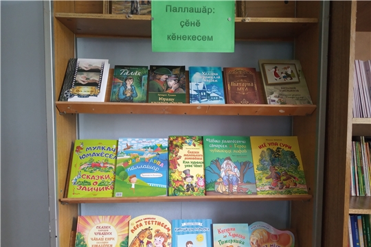 Обзор книжных новинок в Подлесно-Шигалинской сельской библиотеке