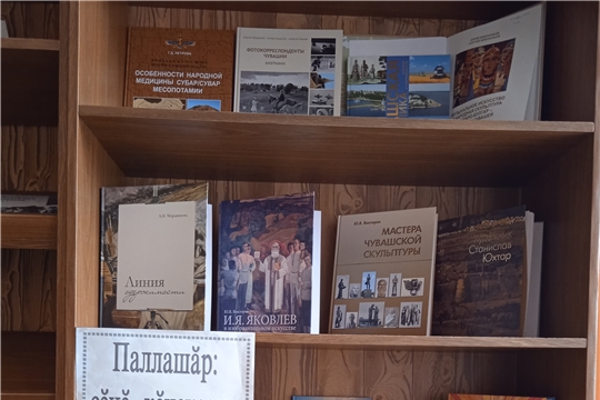 Обзор новых книг в Нижнетурмышевской с/б