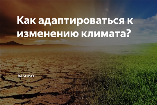 Минэкономразвития: адаптироваться к изменениям климата необходимо на основе единой методики