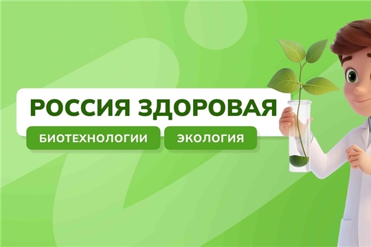24 октября 2024 года в школе прошли занятия внеурочной профориентационной деятельности «Россия - мои горизонты» проекта «Билет в будущее».