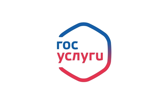 В этом году россияне могут зарегистрировать ребенка по месту жительства с помощью портала «Госуслуги»