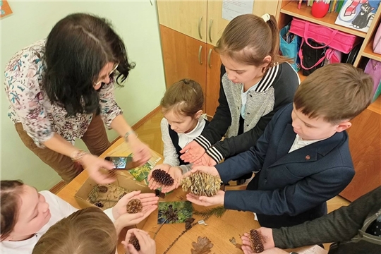 К Международному дню леса инспекторы Минприроды Чувашии в чебоксарских школах провели тематические уроки