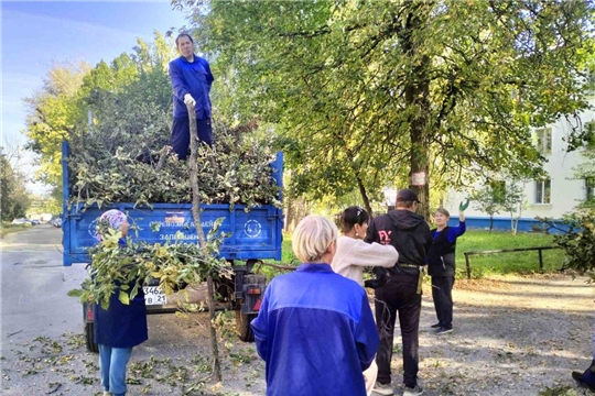 Акция чистоты
