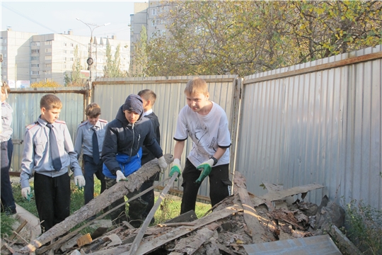 Трудовое воспитание