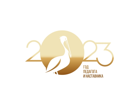 В ЧРИО реализована новая программа повышения квалификации