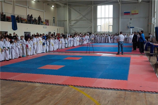 "Спорт- норма жизни!". Женсовет Мариинско-Посадского округа поддерживает проведение турниров по тхэквандо