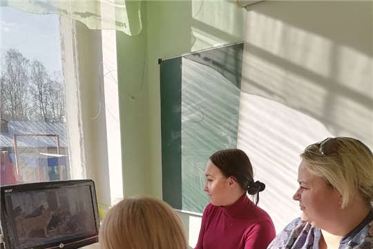 Подведены итоги городского творческого конкурса буктрейлеров на иностранных языках «Reading land» среди учащихся 5-10 классов