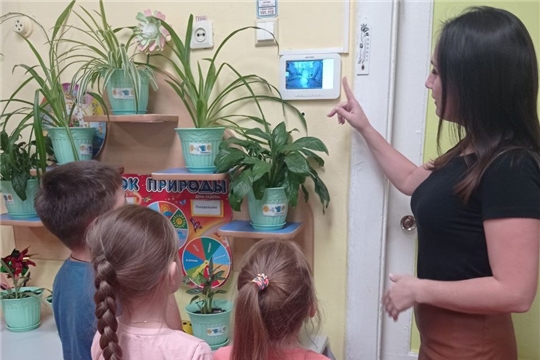 Уроки безопасности для дошкольников