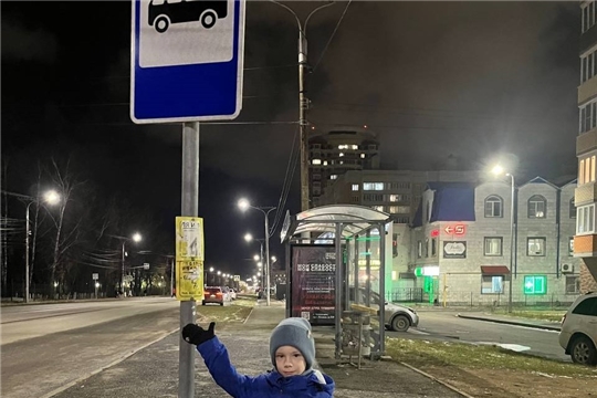 Я культурный пешеход