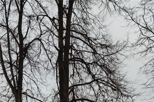 Снежные выходные