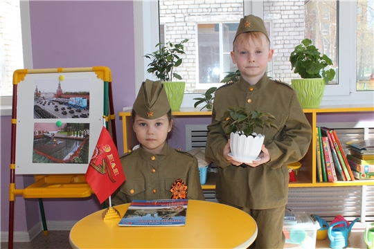 Цветок ветерану.