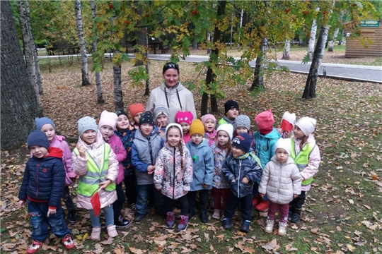 Как прекрасен лес осенью.