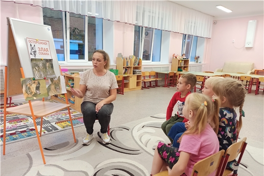 Правила поведения при встрече с собаками.