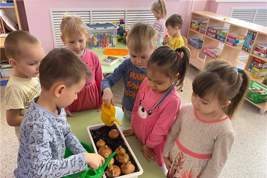 Выращиваем витамины.