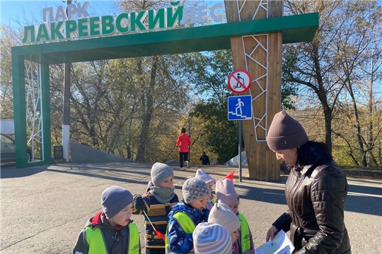 По родному краю с рюкзаком шагаю 