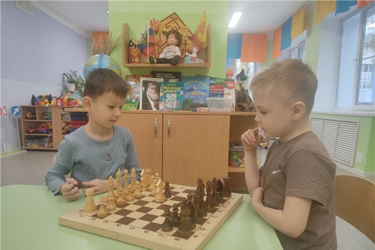 Дополнительная платная услуга по шахматам "Белая ладья"